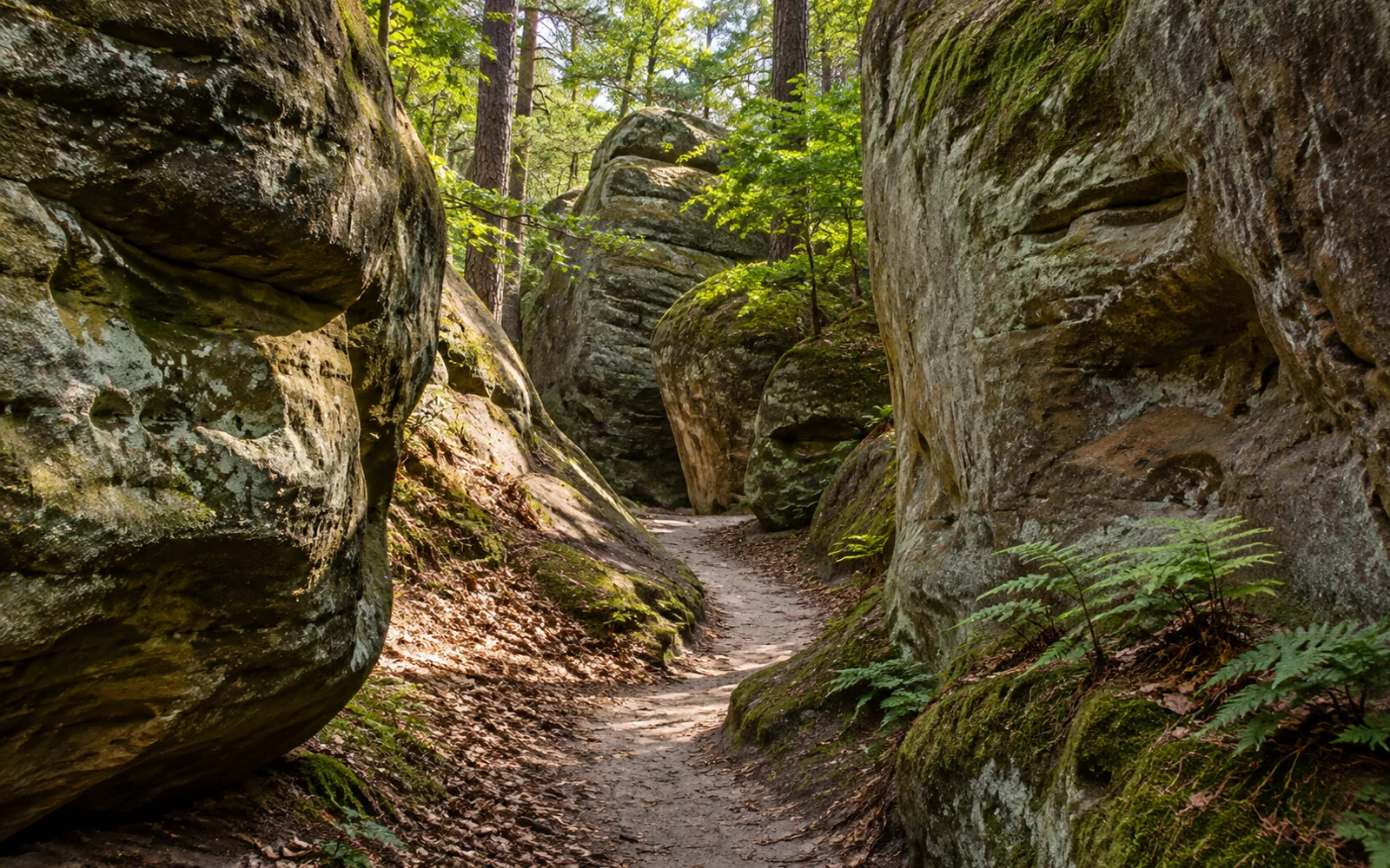 Landschaftsmotiv: Felsen