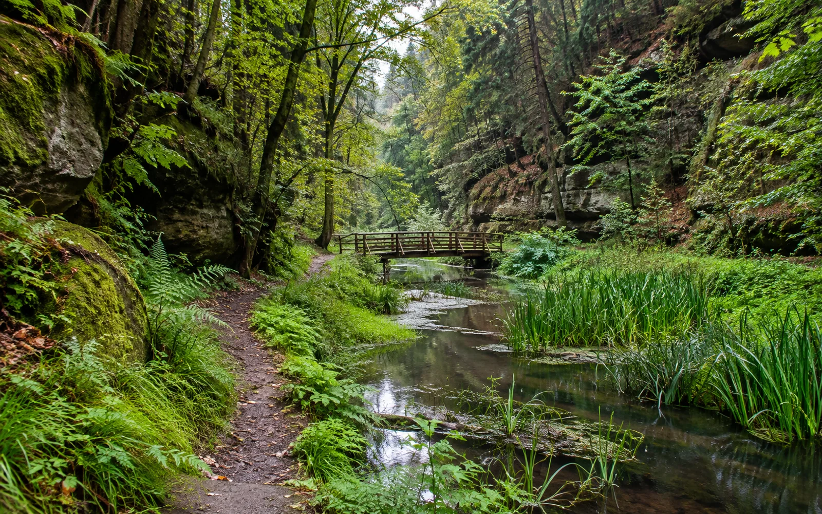Landschaftsthema: Natur