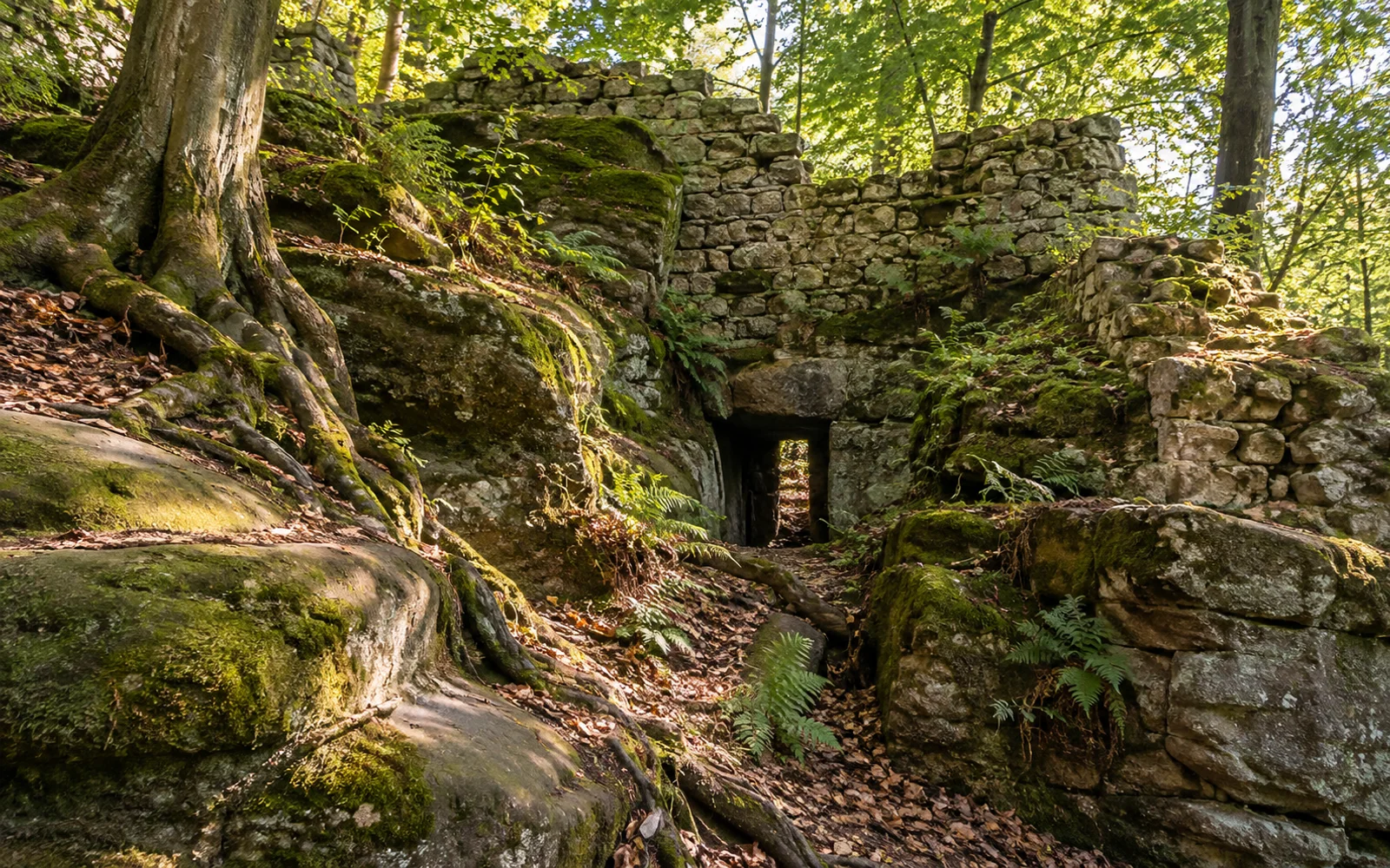 Motyw pejzażowy: zamki